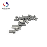 锯齿片 5516 (5)